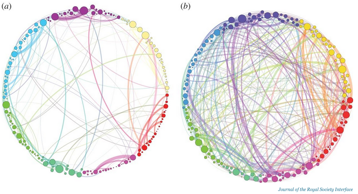 BusinessInsider's tweet photo. This is your brain on mushrooms http://t.co/wbIRYDfJuk http://t.co/Zpk9jBs23Z