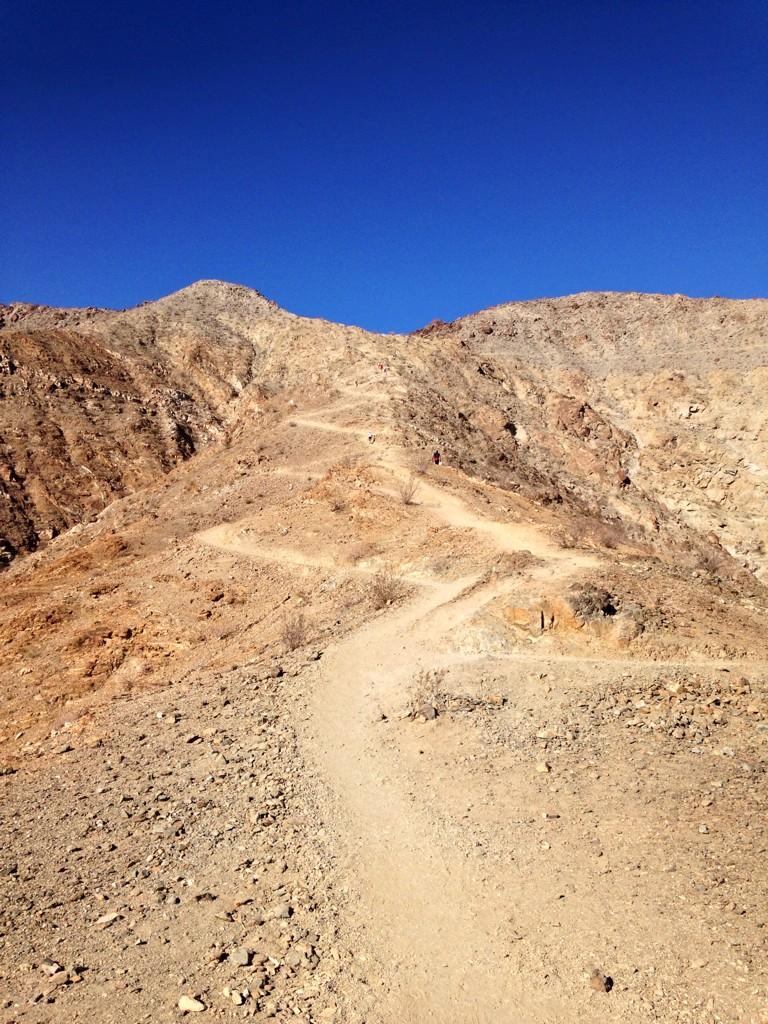 Davide Del Fante tweet media