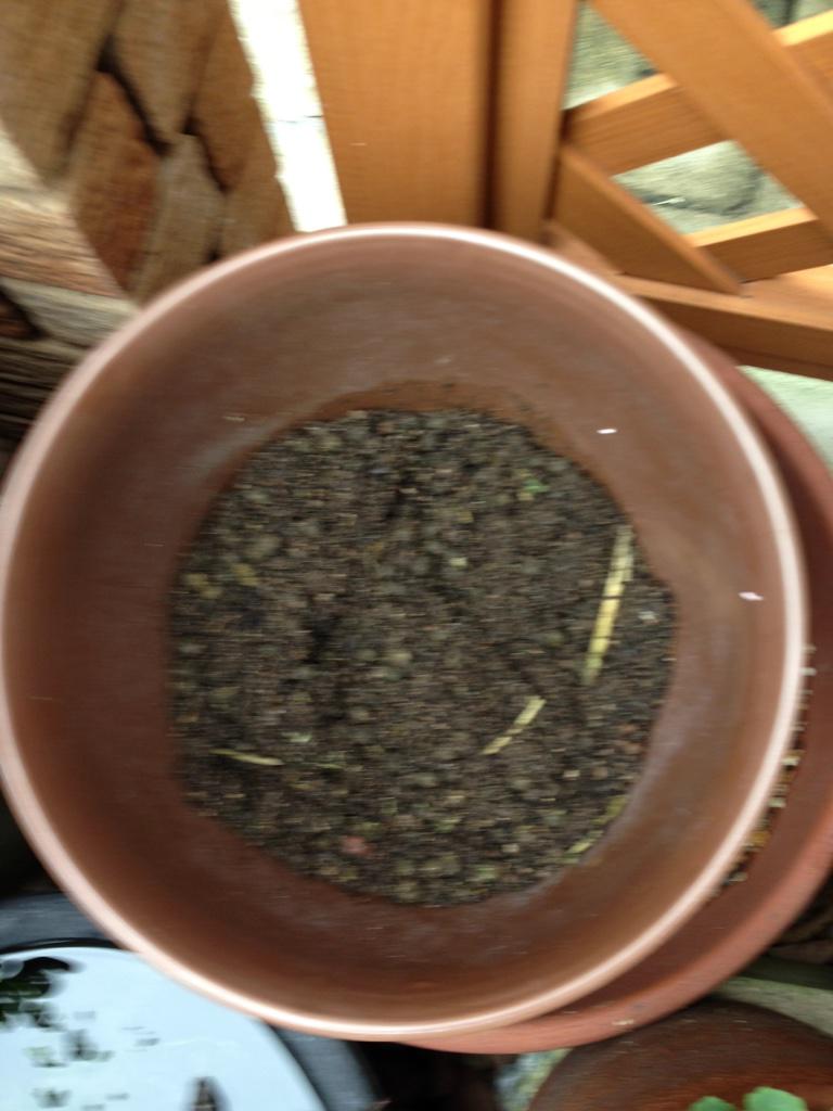 手作り肥料 Twitter Search Twitter