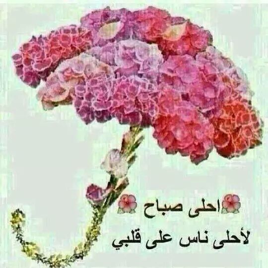 aarrbbff tweet picture