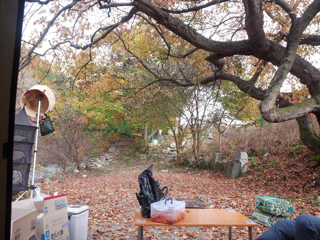 blackfoxy72's tweet photo. 캠핑장 도착!!
역쉬 캠핑장에서는 요러고 다녀야쥐~
조용하고 바로 옆에 작은계곡이 있어서 짱짱 조으다~
못다한 할로윈이여~~더헷~!!♥
이제 슬슬 캔을따고 고기를 구워볼까나~~^^ http://t.co/jKwojVplKm