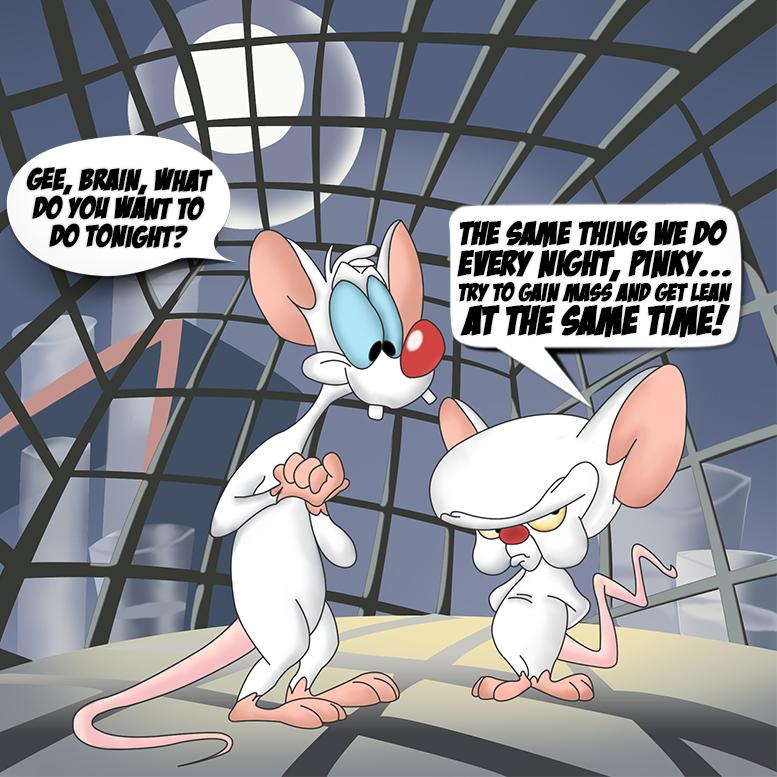 LoveLifeLift's tweet photo. What are we going to do today brain? #LOL #GymProblems http://t.co/ZbxgRuKMu9