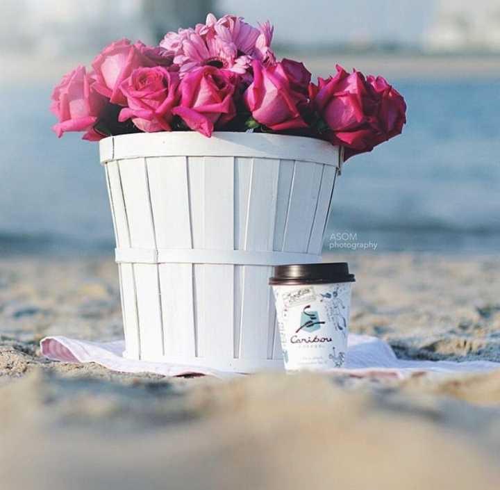 غلاك ، حبّك ، والمسا في معاليك 
تسوى جميع النّاس مادِمت لي حي