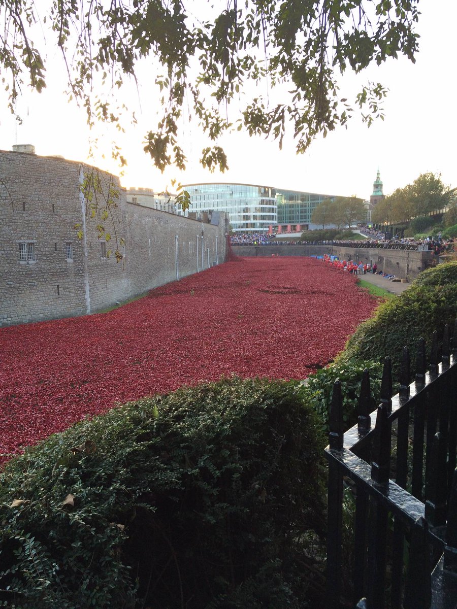 lovesail's tweet photo. If you get the chance do visit the #TowerOfLondon #PoppyInstallation it is incredible and very thought proving. http://t.co/HF3OEPYdKx