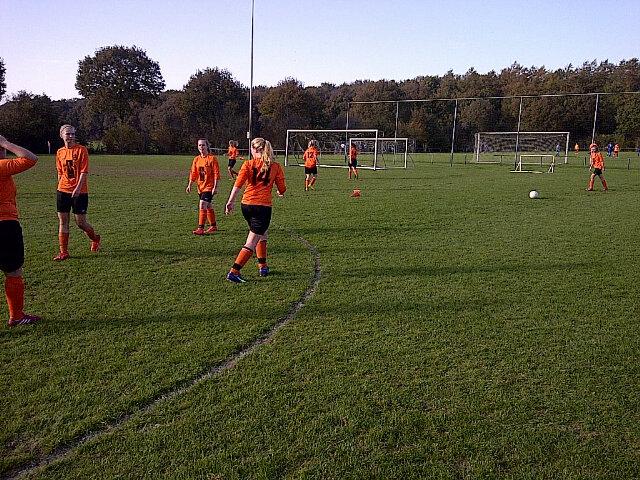 WimHamberg's tweet photo. Hier wordt het gras opgevreten, andebakinVroomshoop http://t.co/6TXr287Ku0