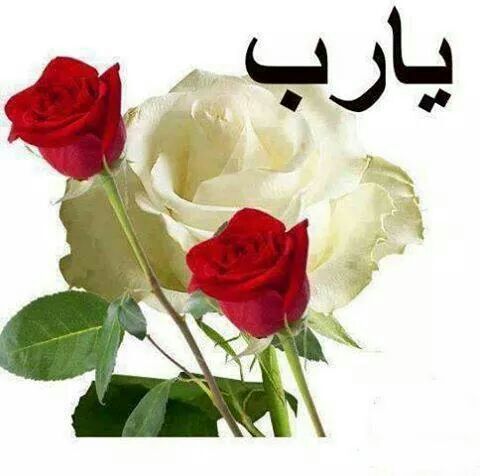 anasszz99's tweet photo. http://t.co/LxT42LuEYd