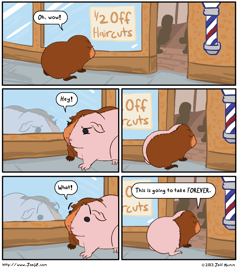 tomstuart's tweet photo. The best comic about guinea pigs and finite sums of infinite geometric series I’ve seen today: http://t.co/IndIiJMigD http://t.co/8QsmlE6UIP