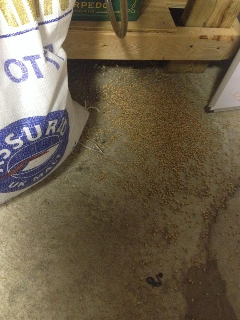 BuffaloCurrents's tweet image. Floor malted grain? #notdoingitright