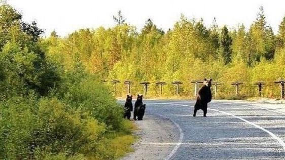 У нас в России все разумные! RT <a href="/russian_market/">Russian Market</a>: Just another morning in Russia. A family waiting for a bus to come.