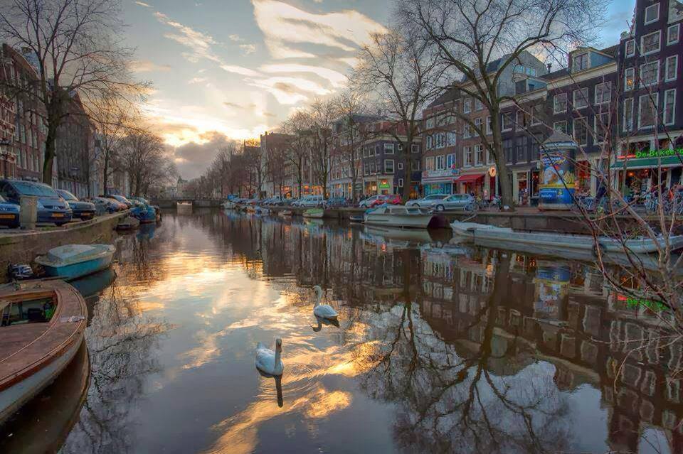 Amsterdam..#November . Via @DonRamer @Cynthiapoet @DrEdwardG @booksthatmatter @AkanshaGautam_ @vinnyboles @circa13579