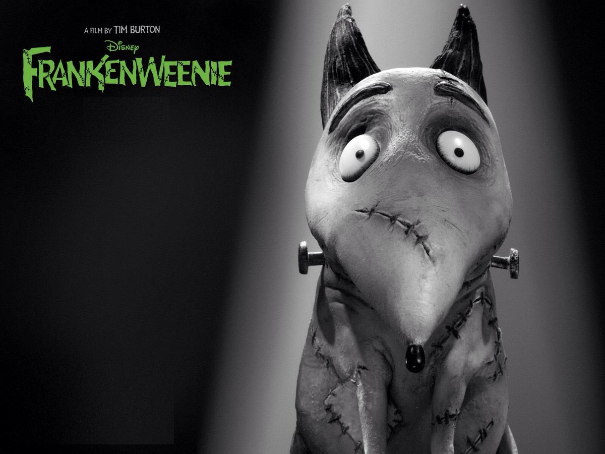 ScotParanormalFest tweet media