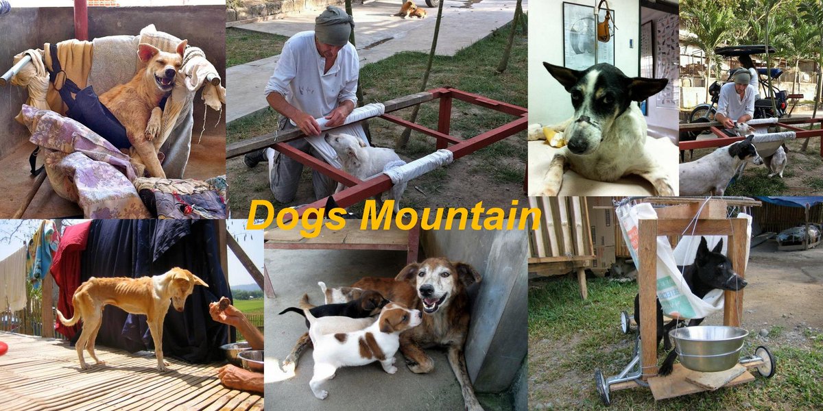 notodogmeat's tweet photo. Please help #NoToDogMeat fight to continue the work of John Hughes at Dogs Mountain!  http://t.co/tfqHO1IFVS … http://t.co/m2Cg3s1olr