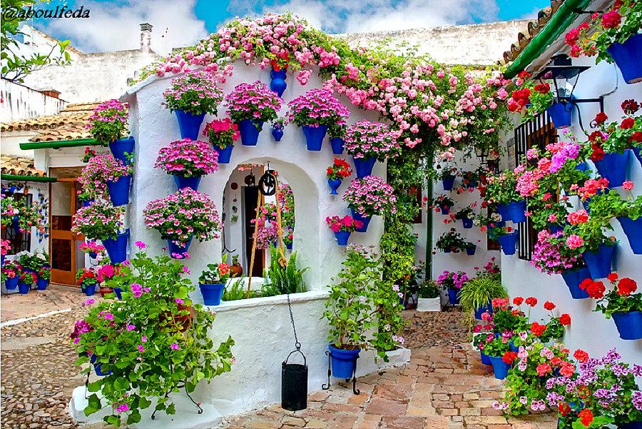 صور: بيوت تزينها الزهور بشكل خيالي ومدهش! B1Wjz01CEAAkUDr