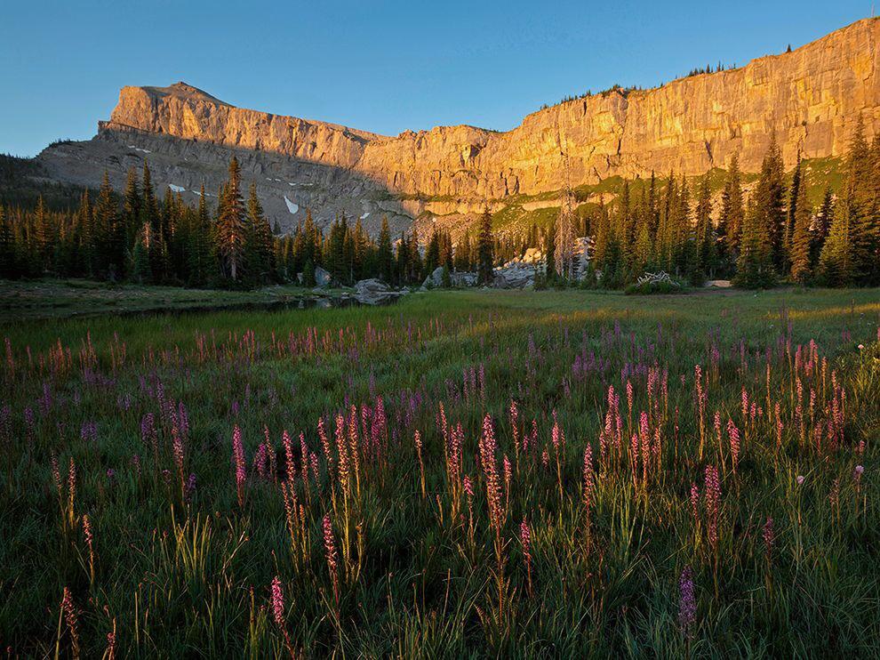 Montana #travel
