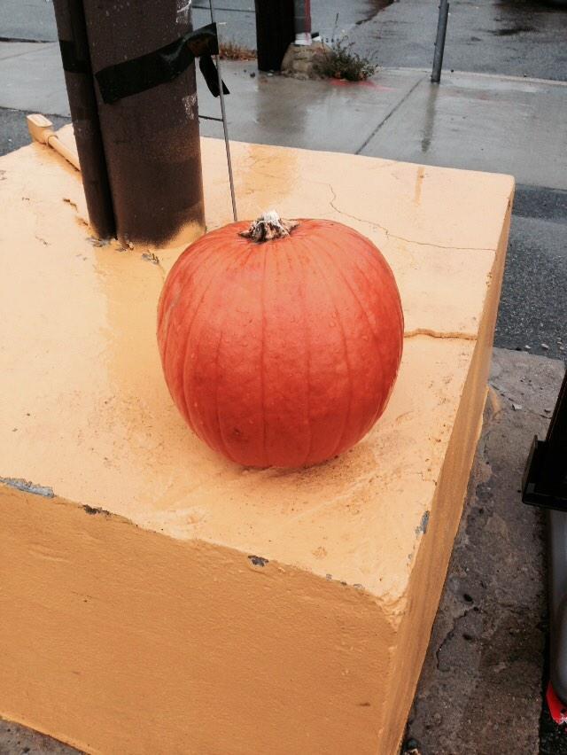 Free pumpkin from Pemberton. Carrying it home is my conditioning today. #seizethegains