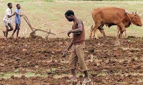 AFarmersGroup's tweet photo. Africa Farmers. http://t.co/id4aaLfhoJ
