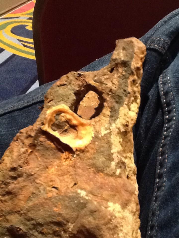 theMrMoulden's tweet photo. got to touch history, actual artifact from the shipwreck La Bella #tcss2014 http://t.co/5CX7QzAl5y