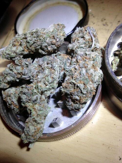 PotheadBotJP tweet picture