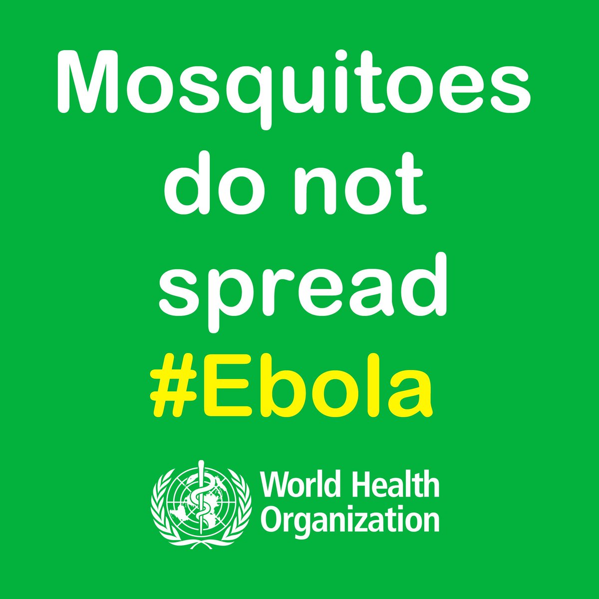 NADhealth's tweet image. Fact about Ebola: "@WHO: Mosquitoes do not spread http://t.co/TEgpM6FvqI" @FactsWithHope @NADhealth #NADEbolaInfo @KatiaGReinert
