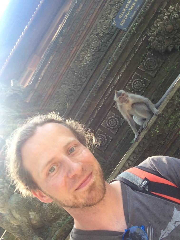 Reisen_jv's tweet photo. Monkey-Selfie #Bali #monkeyforest #ubud http://t.co/m4dVCjJD5a