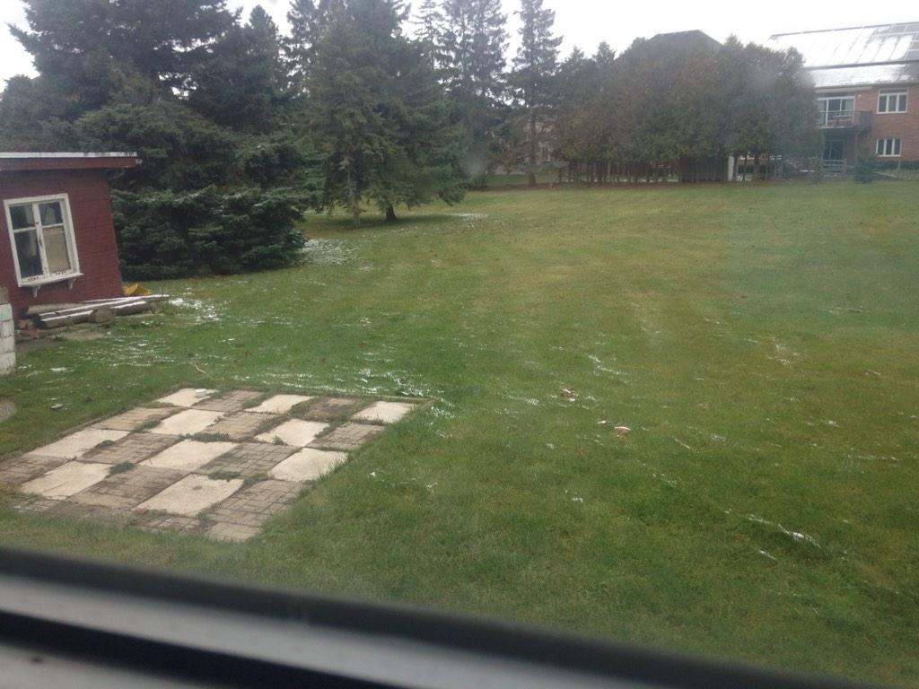 GreigCoby's tweet image. Comment what you think it is?