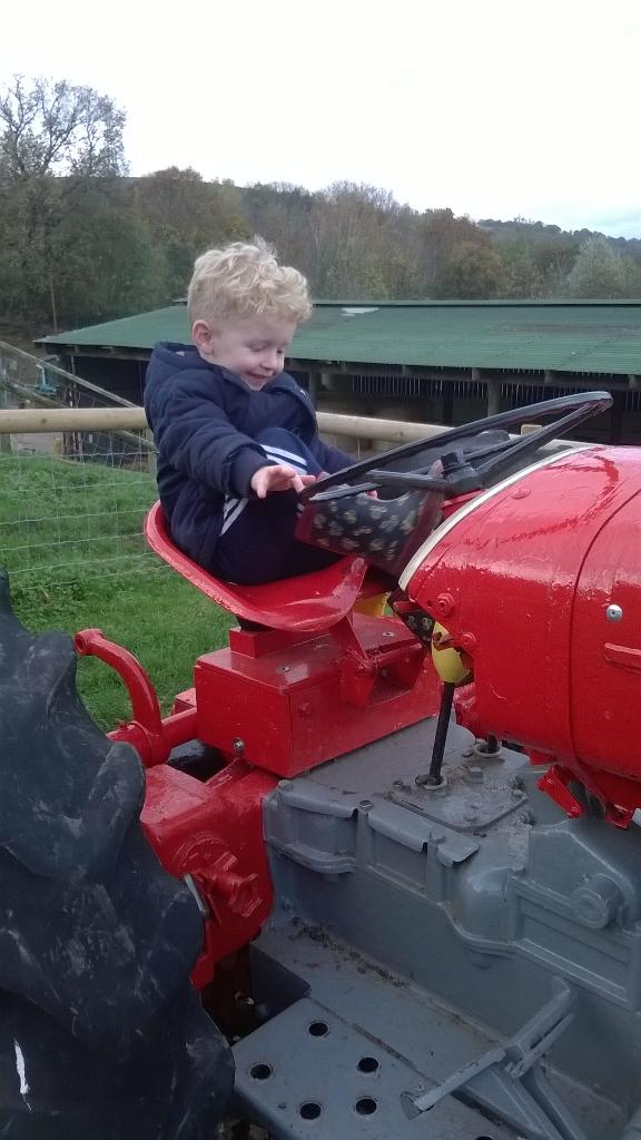 JadeMarie91's tweet photo. Farm time http://t.co/zTLgXGnFlw