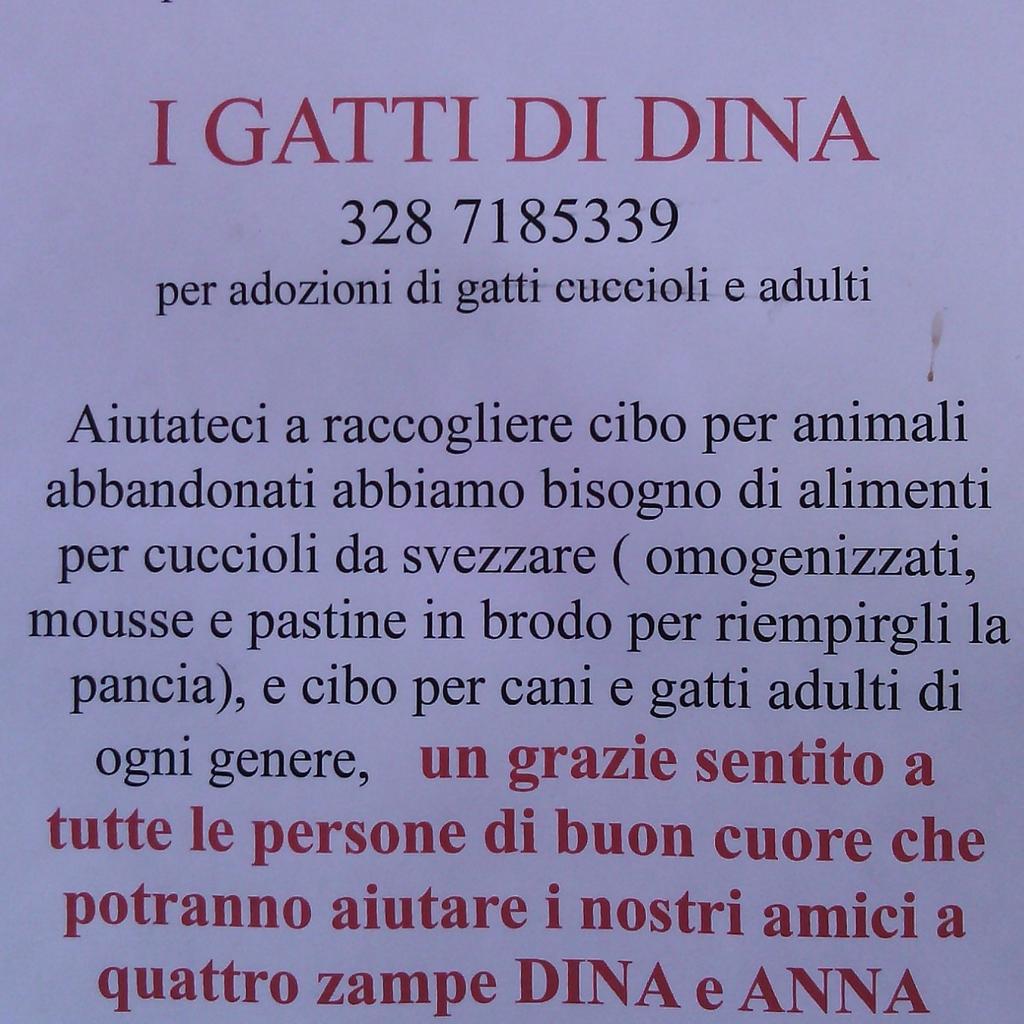 IGATTIDIDINA's tweet image. I GATTI DI DINA: PER ADOZIONI DI GATTI CUCCIOLI E ADULTI. 
GRAZIE