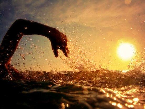 andyrizzo0610's tweet photo. La vida es un reto; vivela, ama, rie, llora, juega, gana, pierde, tropieza, pero siempre levantate y sigue nadando!! http://t.co/Fp5ZP8xg7f