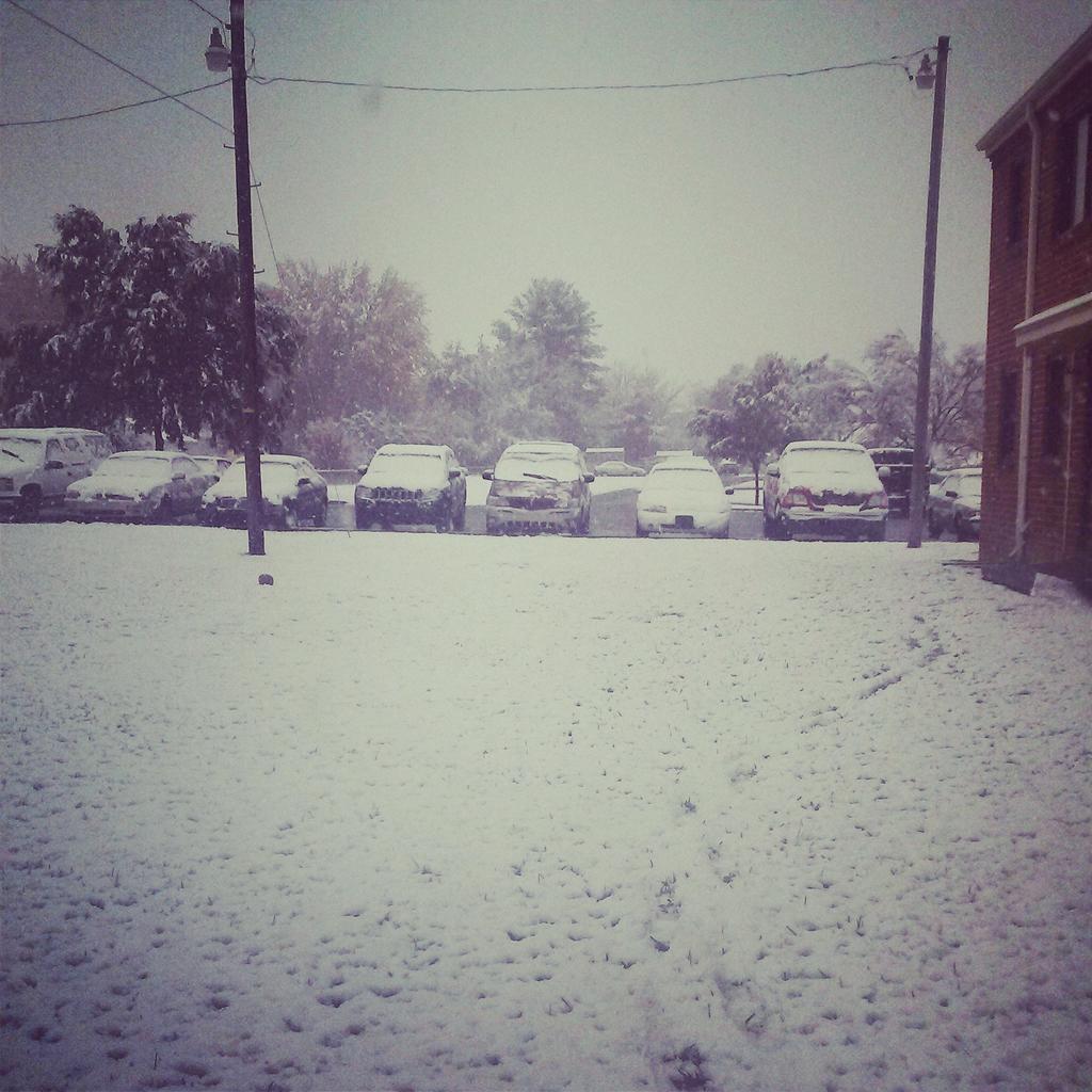 audramckee23's tweet photo. Snow day in TN http://t.co/qK0VteWJbj