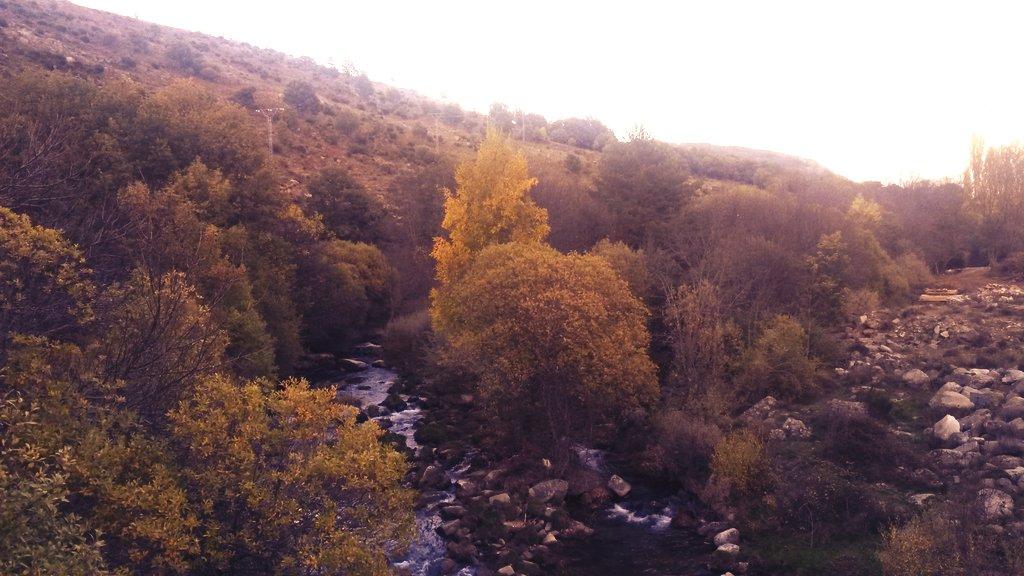 pablopinch's tweet photo. Esto SI es el paraíso. #NVCPD http://t.co/EYoisHU0G7