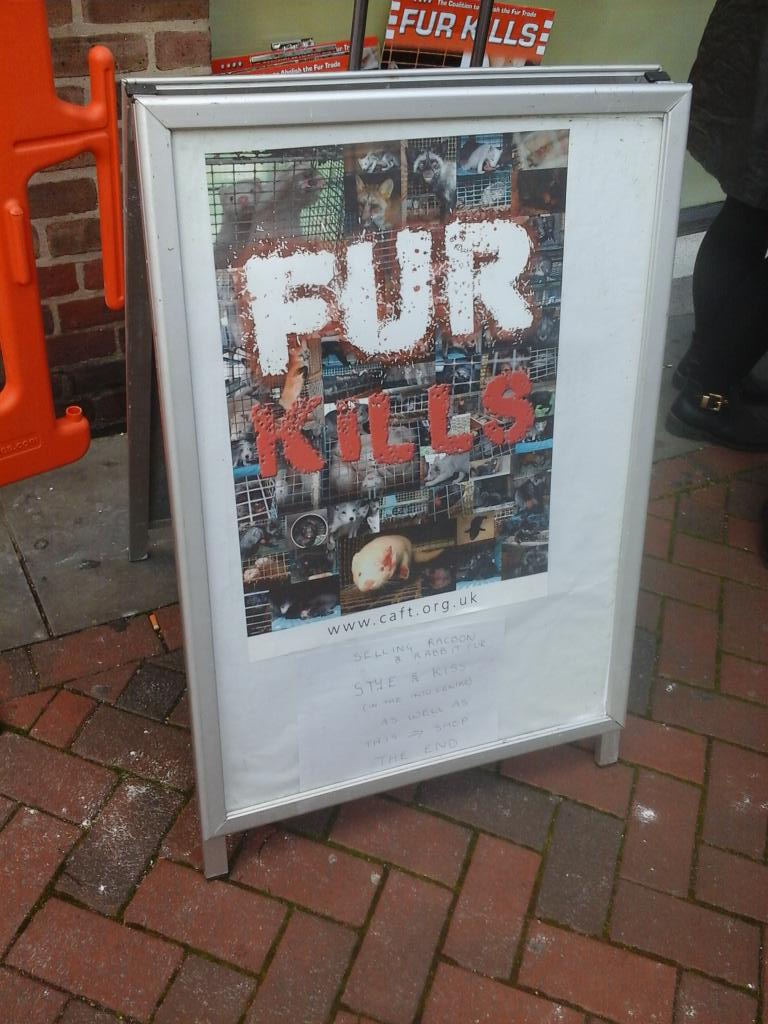 SaffronAR's tweet photo. #fur is murder #fur kills http://t.co/uKC1Vopru0