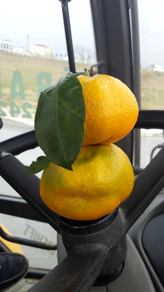  ünal y (@u_unaal) on Twitter photo 