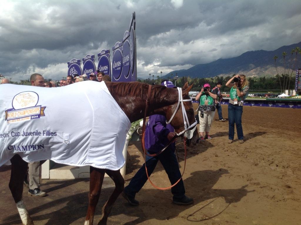 Take Charge Brandi after her Juvenile Fillies shocker. #bc14