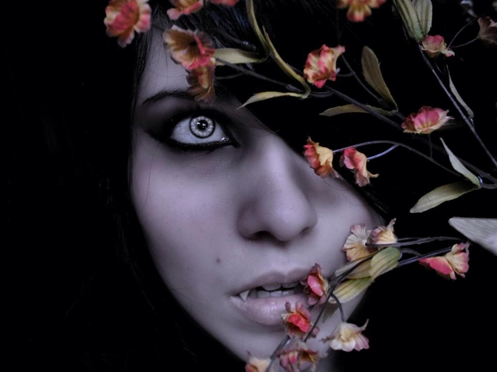 ISF_NL_SOUTH's tweet photo. For over a century I've lived in secret.. UNTIL NOW!! Whatch out.. Vampy time.. Halloween horror quest with the kids http://t.co/8Zhqym9PMV