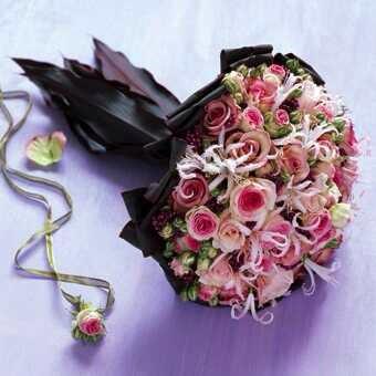alog_amer tweet picture