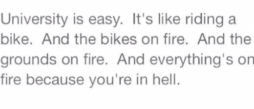 Now change university with company law!!! #toomuchofthemuchness  #damnitcapitalism
