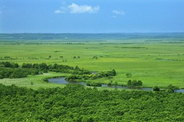 思い出のマーニーの舞台は北海道のどこ 湿地屋敷の建物モデルは軽井沢タリアセンって本当 うーたんブログ