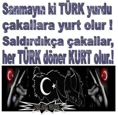 Panturkizm (@panturkizmcom) on Twitter photo 