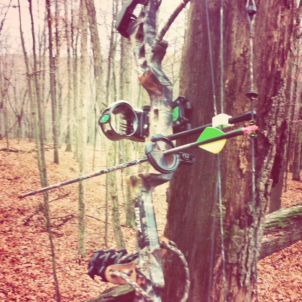 bwin5153's tweet photo. Cool morning with a chance of rage getting the job done. @UAHUNT @ralphandvicki @BearArchery @ragebroadhead @Realtree http://t.co/DRQGgx0MgU