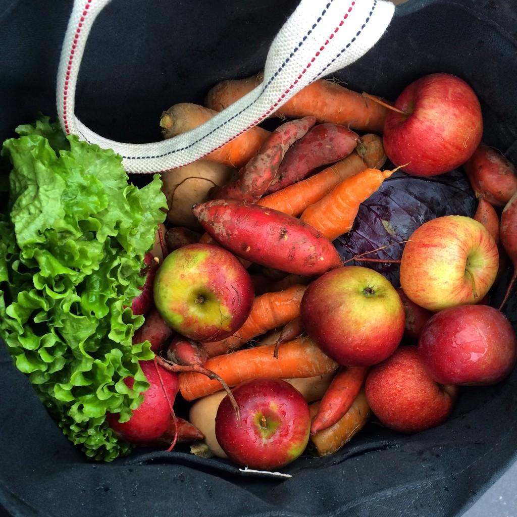 Fall bounty! Lookin' forward to our prep time!!!