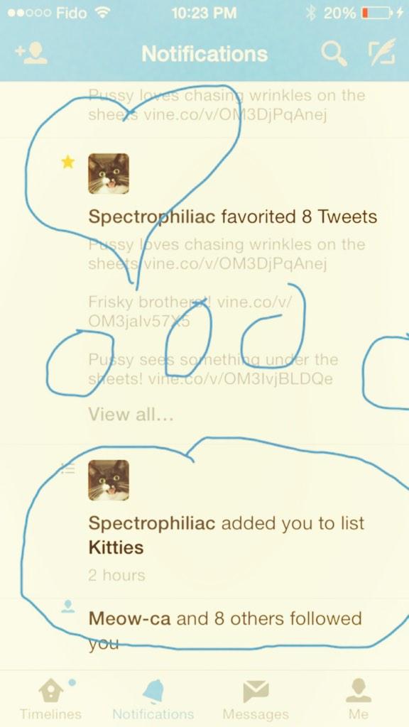 pussycat_man's tweet image. Thank you for adding Pussy to the Kitty List!!! @FedoraHippie #sorryforlatereply #purrr