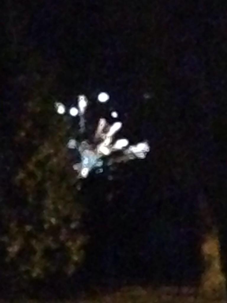JVilleBoys's tweet photo. Take a deep breath, 'Merica is in the air. It's always Independence Day in J-Ville #NovemberFireworks http://t.co/inAt8Qb707