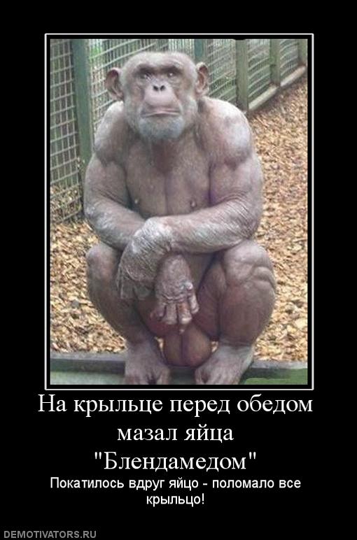 Прикольные картинки про мужские яйца