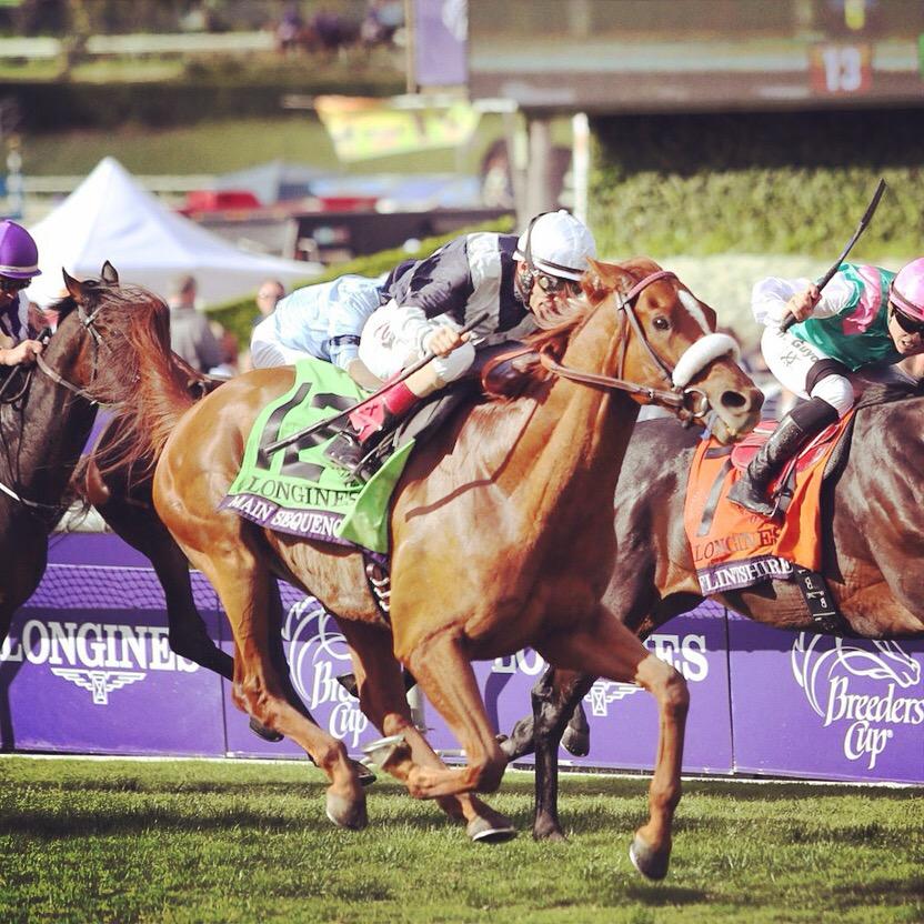 TrplCrownChaser's tweet image. Congrats to @GrahamMotion for the big win with #MainSequence. #keepcalmandmotionon