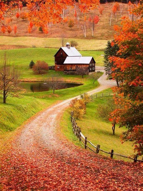 myphotoworld_'s tweet photo. I wouldn't complain if I lived here 😍  http://t.co/Hl0qxDysj2