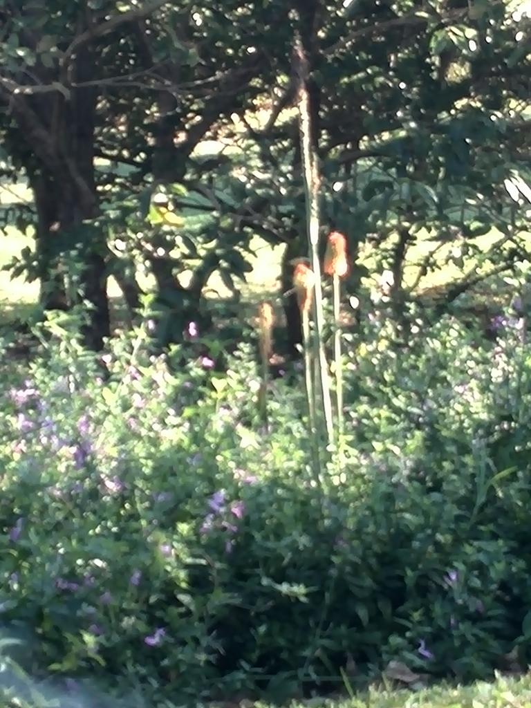 stepgrad's tweet image. 