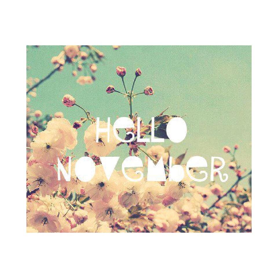 Hello November / Hola Noviembre :)