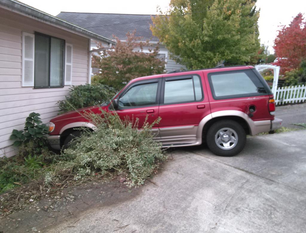 CubFuzzy's tweet image. @toastcoyote @KitsyAngel @MunkeyClubhouse