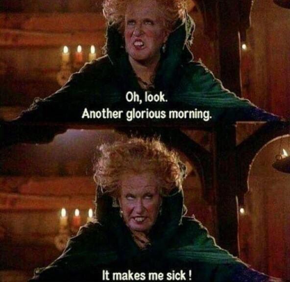 StumblerVideos's tweet photo. waking up like http://t.co/kJlVqzBTUk