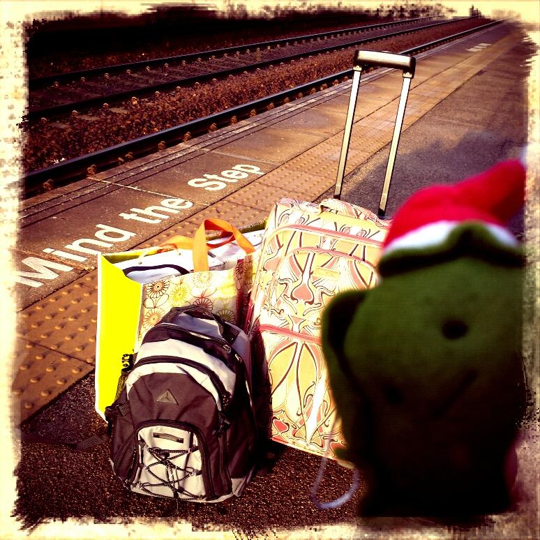 This is me on my way to Sheffield yesterday. Who knew a sprout needed so much luggage! #cyrilthesprout #myfirstselfie